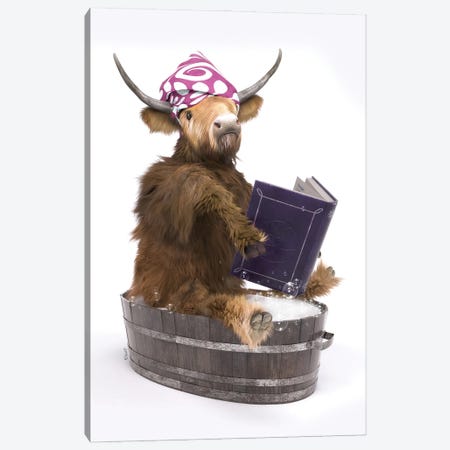 Highland Cow In The Bathroom Canvas Print #JFY42} by Jauffrey Philippe Canvas Print