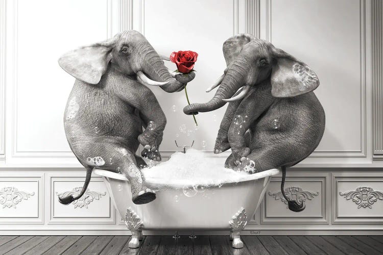 Elephant In Love In The Bath by Jauffrey Philippe wall art