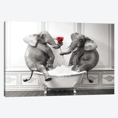 Elephant In Love In The Bath Canvas Print #JFY46} by Jauffrey Philippe Canvas Artwork