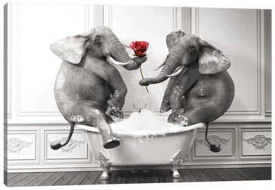 Elephant In Love In The Bath Canvas Art Print - Jauffrey Philippe
