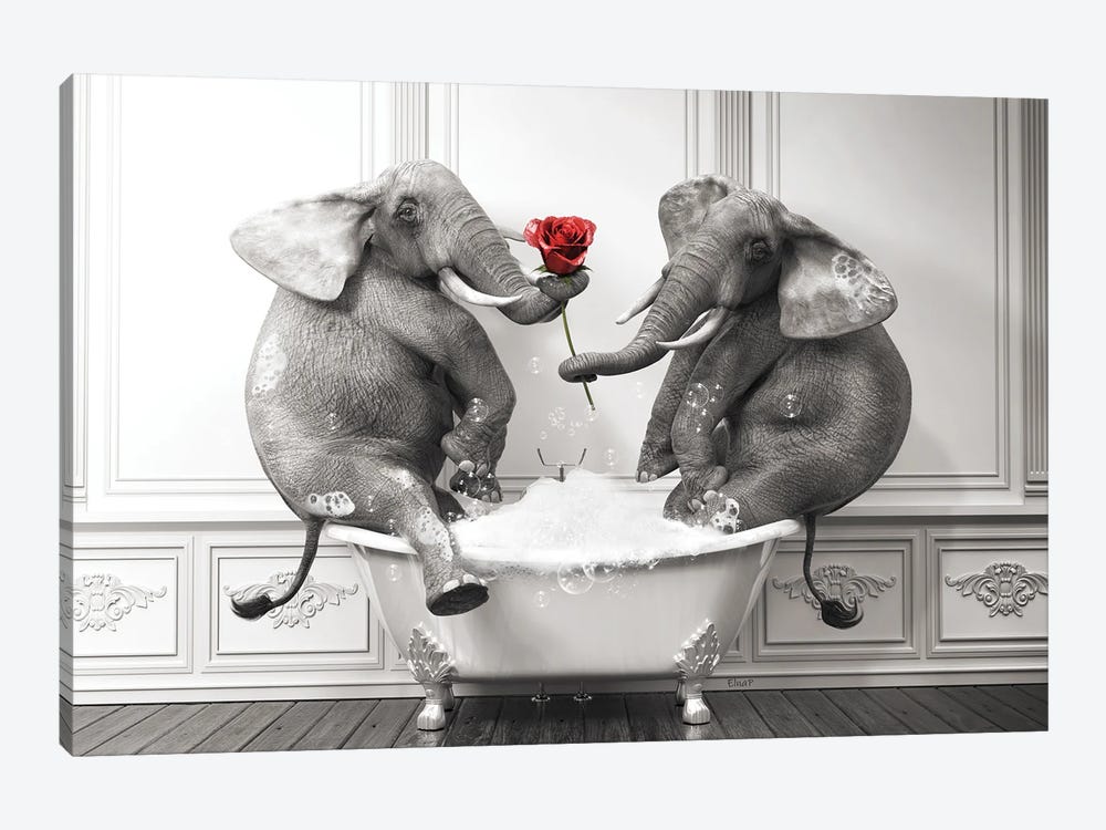Elephant In Love In The Bath by Jauffrey Philippe 1-piece Canvas Artwork