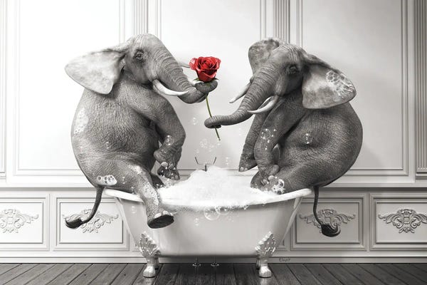 Elephants: Elephant In Love In The Bath by Jauffrey Philippe