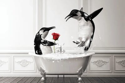 Animal Humor