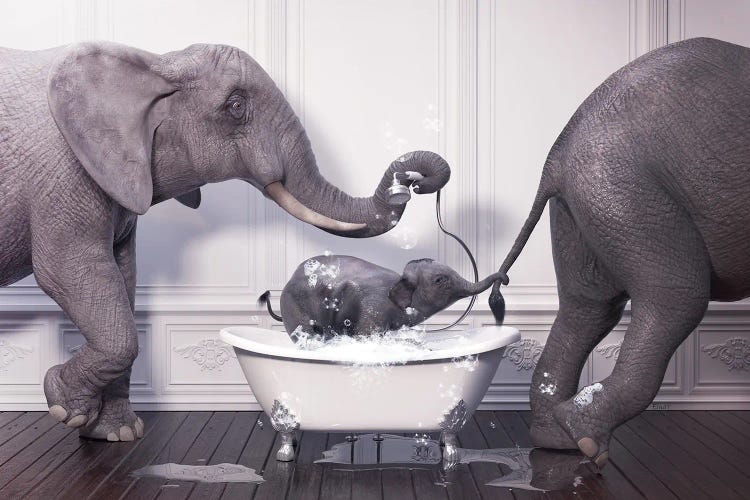 Elephant In The Bath With Baby