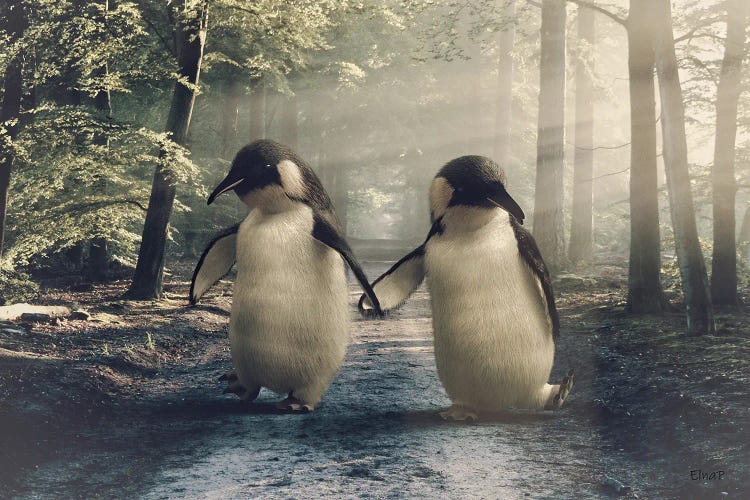 Penguin In The Forest Walking