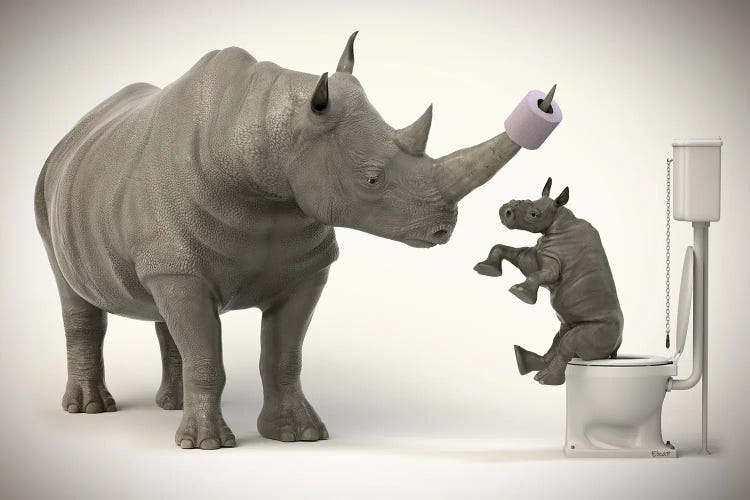 Rhinoceros In The Toilet