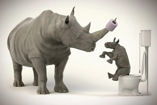 Rhinoceroses: Rhinoceros In The Toilet by Jauffrey Philippe