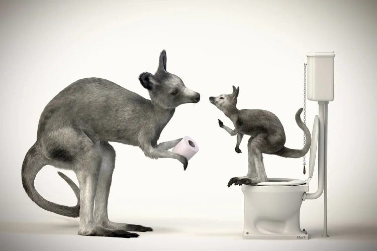 Kangaroo In The Toilet