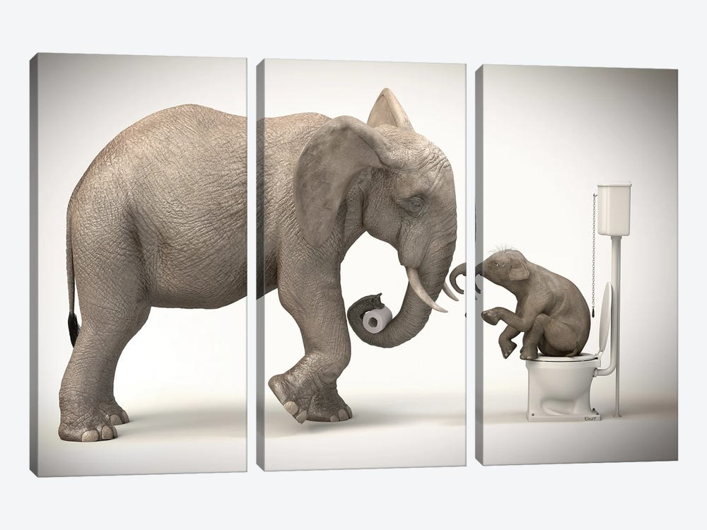 Elephant In The Toilet With Baby by Jauffrey Philippe 3-piece Canvas Artwork