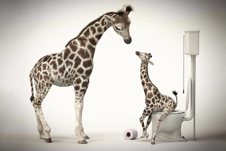 Giraffe In The Toilet With Baby