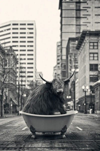 Bathroom Humor: Highland In The Street by Jauffrey Philippe