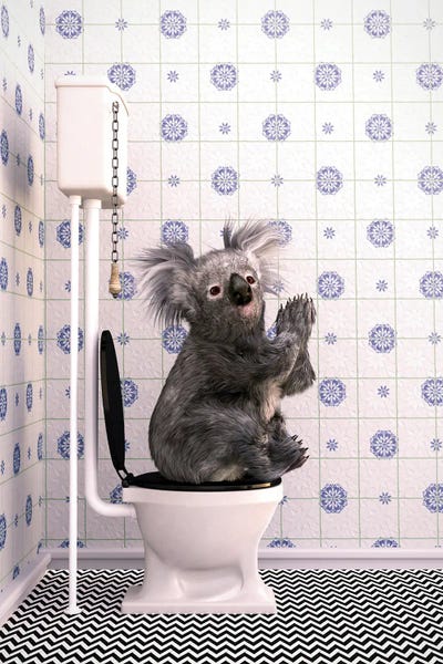 Koalas: Koala In The Toilet by Jauffrey Philippe