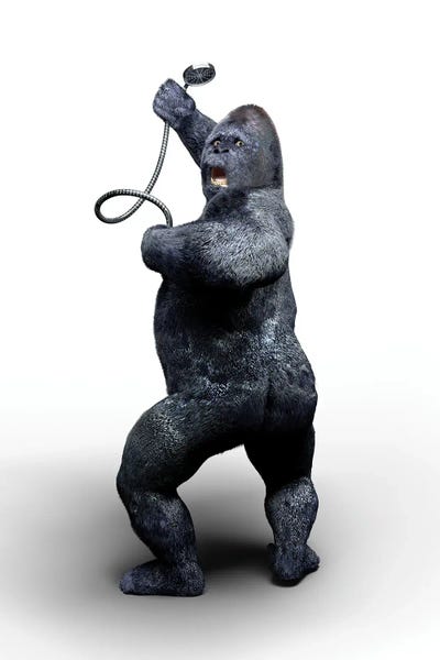 Black & White Digital Art: Gorilla Takes A Shower by Jauffrey Philippe