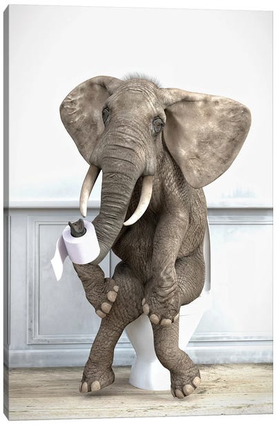 Elephant In The Toilet Canvas Art Print - Jauffrey Philippe