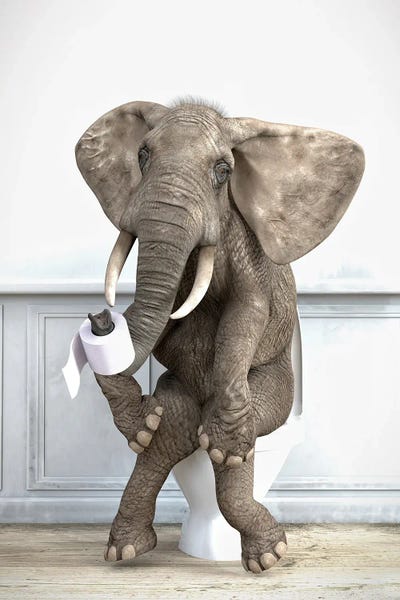 Elephants: Elephant In The Toilet by Jauffrey Philippe