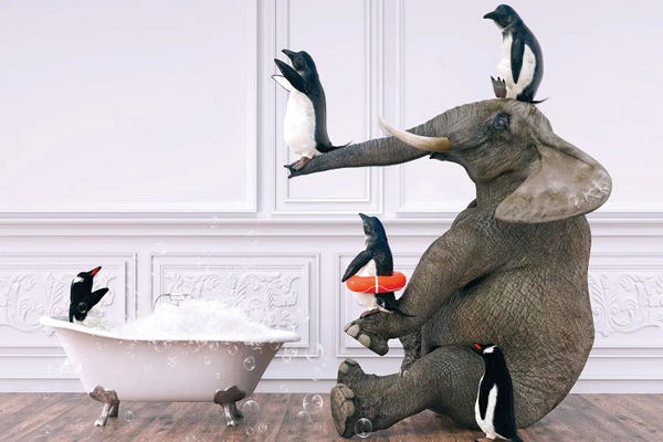 Penguins: Elephant Playing With Penguins In The Bath by Jauffrey Philippe