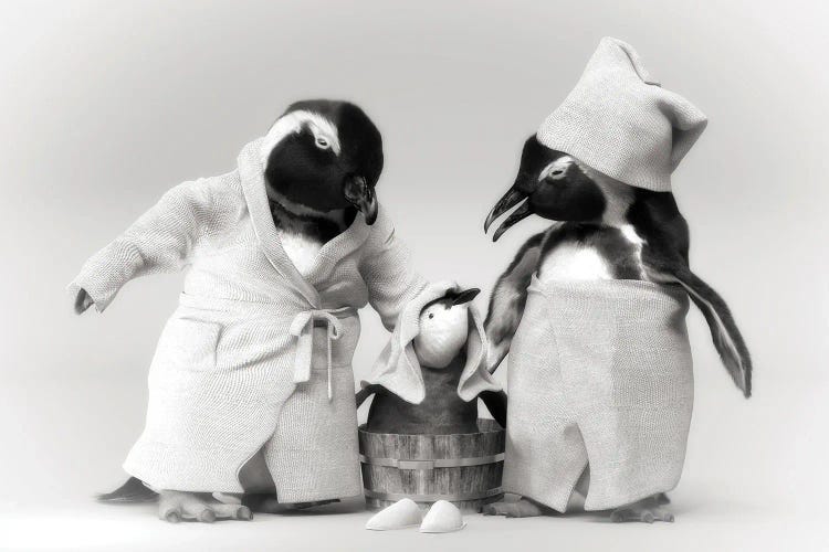 Penguin Family In A Bathrobe by Jauffrey Philippe wall art