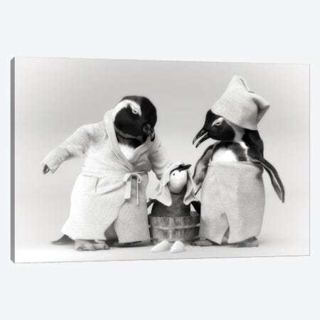 Penguin Family In A Bathrobe Canvas Print #JFY67} by Jauffrey Philippe Canvas Wall Art
