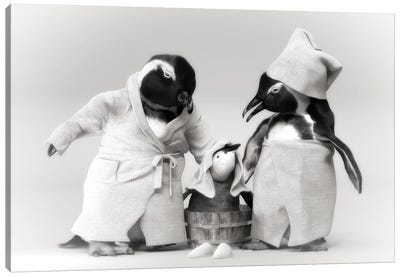 Penguin Family In A Bathrobe Canvas Art Print - Jauffrey Philippe