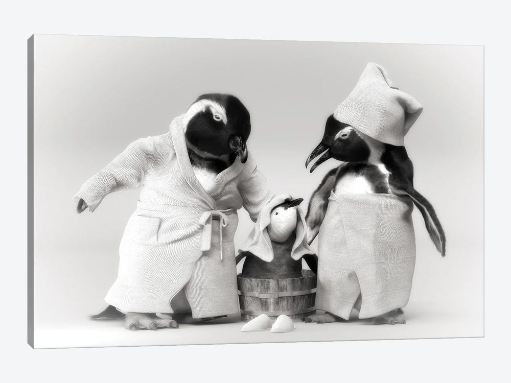 Penguin Family In A Bathrobe by Jauffrey Philippe 1-piece Canvas Art Print
