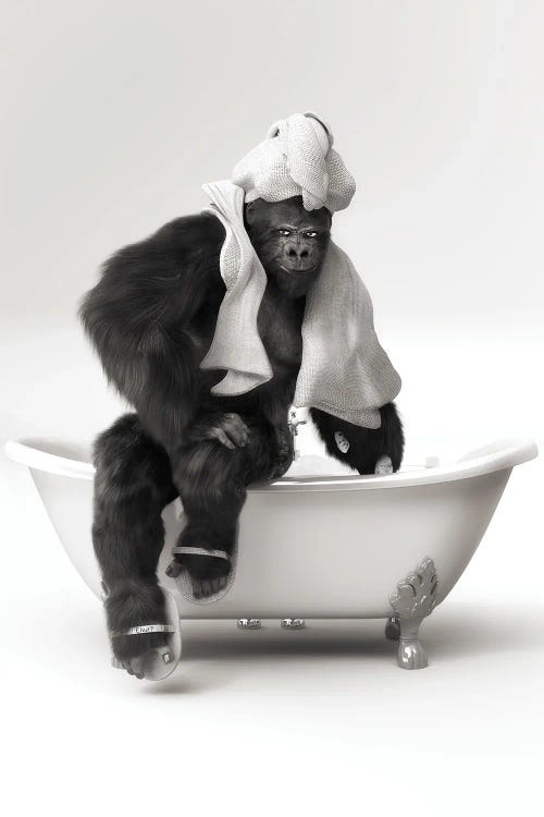 Gorilla In The Bath