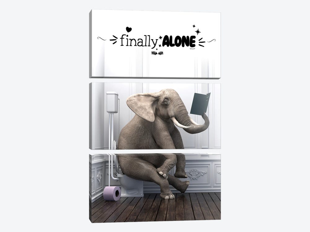 Elephant In The Toilet And Inspirational Phrase by Jauffrey Philippe 3-piece Canvas Artwork