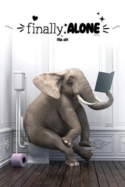 Reading: Elephant In The Toilet And Inspirational Phrase by Jauffrey Philippe