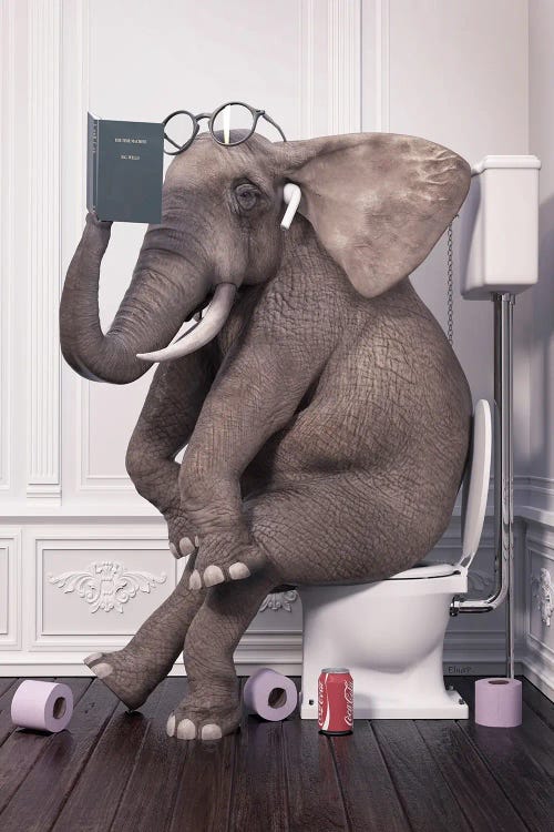 Elephant With Quiet Toilet Reading A Book