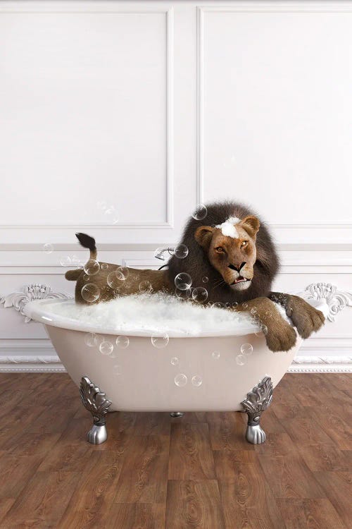 Lion In The Bath