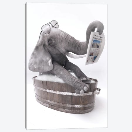 Elephant In The Bath Reading A Newspaper Canvas Print #JFY85} by Jauffrey Philippe Canvas Artwork
