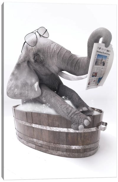Elephant In The Bath Reading A Newspaper Canvas Art Print - Jauffrey Philippe