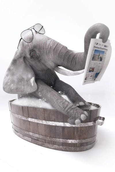 Reading: Elephant In The Bath Reading A Newspaper by Jauffrey Philippe