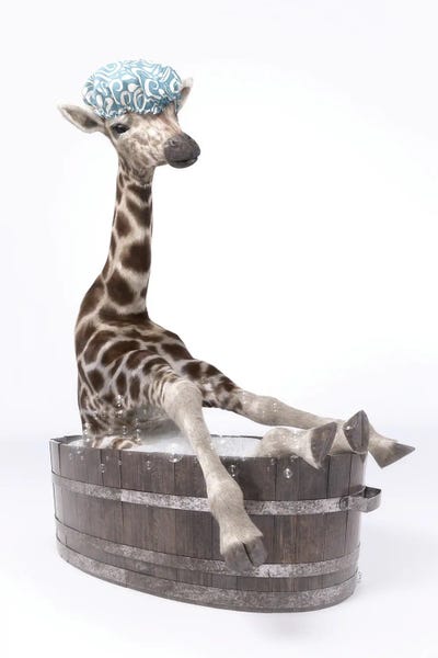 Giraffes: Giraffe In The Bath With Bathing Cap by Jauffrey Philippe