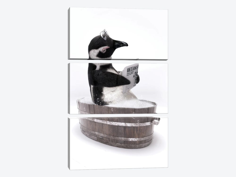Penguin In A Wooden Bathtub by Jauffrey Philippe 3-piece Canvas Print
