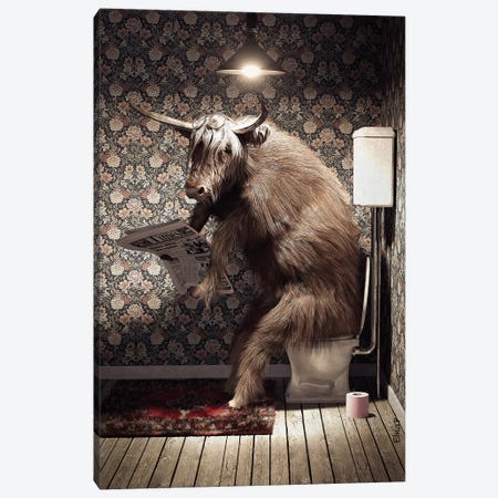 Highland Cow On The Toilet Canvas Print #JFY97} by Jauffrey Philippe Canvas Print