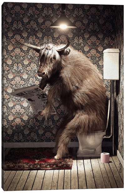 Highland Cow On The Toilet Canvas Art Print - Bathroom Humor Art