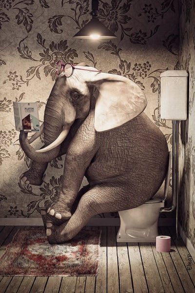 Bathroom Humor: Elephant On Toilet Reading A Book by Jauffrey Philippe