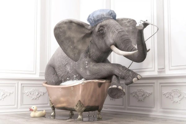 Elephants: Elephant In The Bath by Jauffrey Philippe