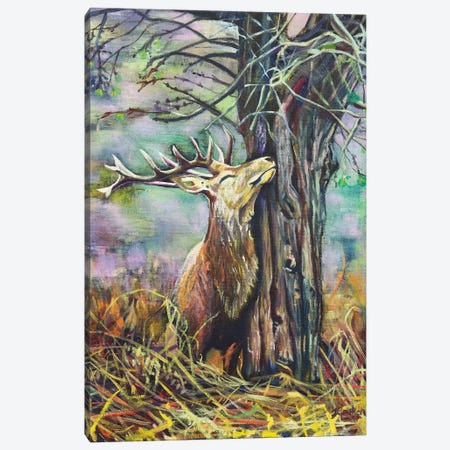 My Deer Canvas Print #JGE10} by Jenny Geuken Art Print