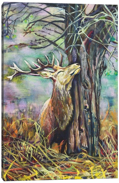 My Deer Canvas Art Print