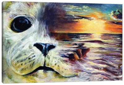 Tales Of The Shore Canvas Art Print - Seal Art