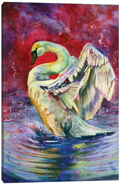 Arise Canvas Art Print - Swan Art