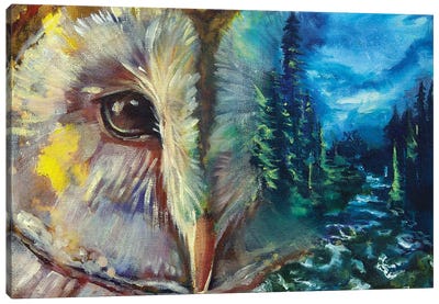 Birds Eye View Canvas Art Print - Jenny Geuken