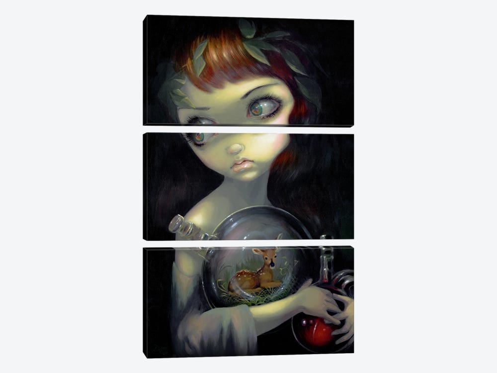 Microcosm Fawn by Jasmine Becket-Griffith 3-piece Canvas Wall Art