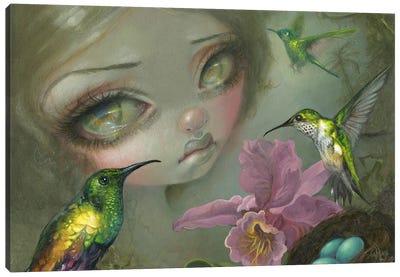 Ode To Heade Canvas Art Print - Hummingbird Art