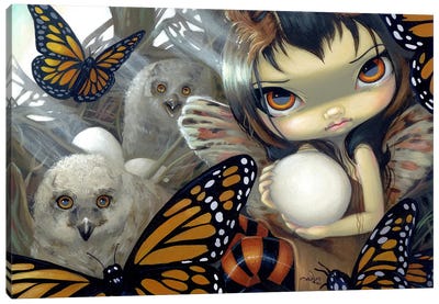 Owlyn In The Nest Canvas Art Print - Jasmine Becket-Griffith