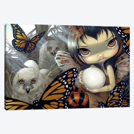 Owlyn In The Nest Canvas Print #JGF121} by Jasmine Becket-Griffith Canvas Artwork