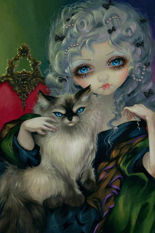 Princess With A Ragdoll Cat