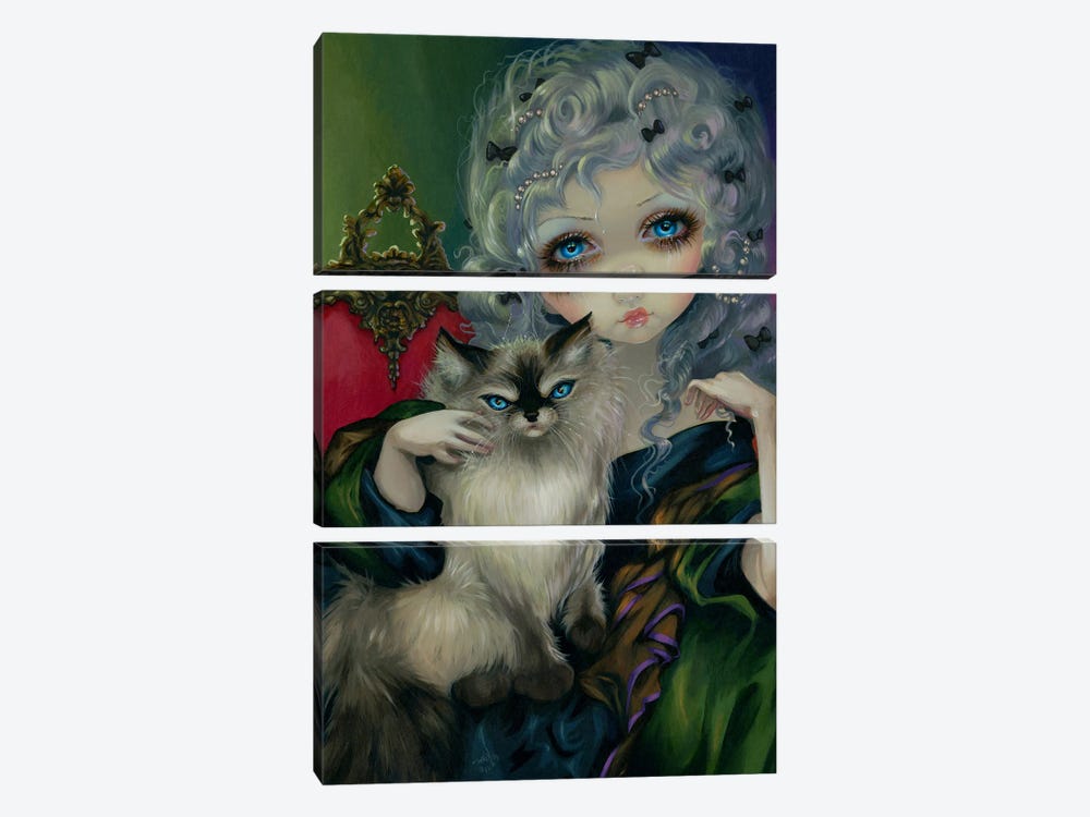 Princess With A Ragdoll Cat by Jasmine Becket-Griffith 3-piece Canvas Art Print