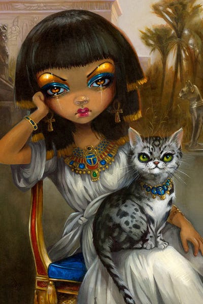 Sanura by Jasmine Becket-Griffith framed canvas print